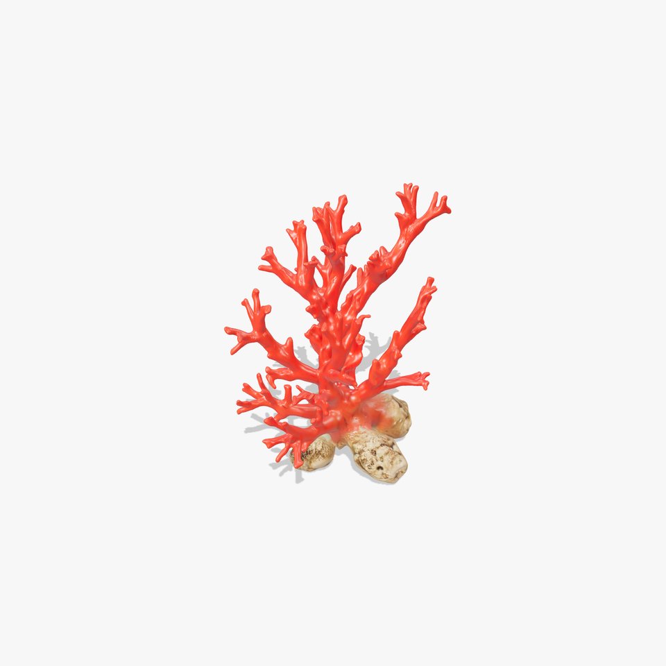 Red Coral Reef model pack